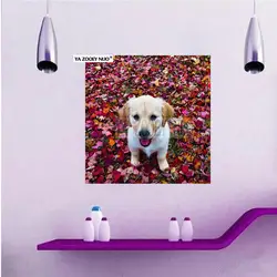 YA ZOOEY NUO 5D Вышивка бисером, животное собака DIY Алмазная картина вышивка крестиком Хрустальная мозаика собака Рождественский Декор подарки