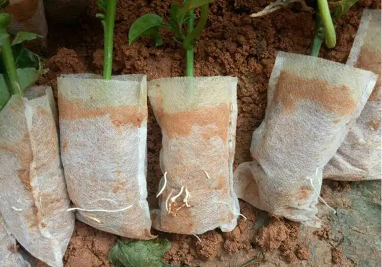 8 10cm Biodegradable Seed Nursery Bags Flower Pots 8 10cm Biodegradable Seed Nursery Bags