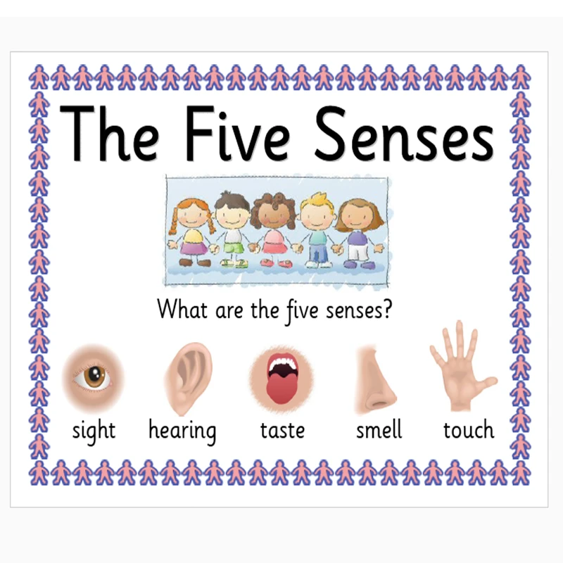 11pcs Set Five Senses English Big Card Flash Word Cards Early Educational Learning Toys For Children Teaching Aids For Kids Aliexpress 11pcs Set Five Senses English Big Card Flash Word Cards Early Educational Learning Toys For Children Teaching Aids For Kids Aliexpress