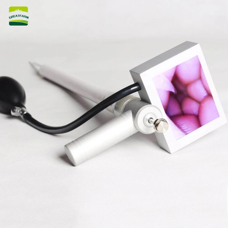 

Cow visual endoscope sperm gun artificial inseminationorse Without technology insemination device vas deferens no cow manure