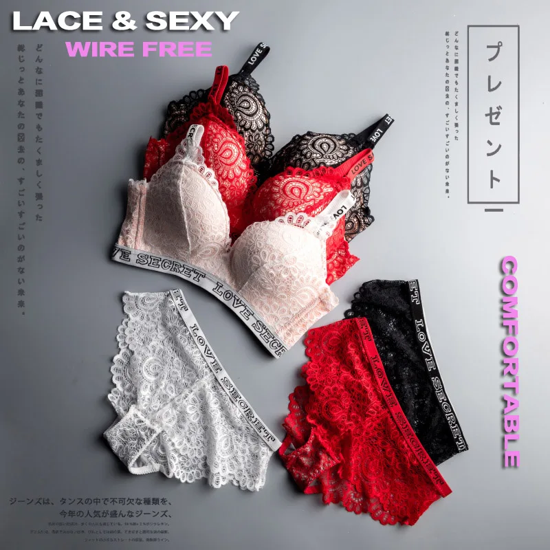 _KOR2446