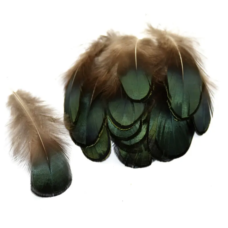 HTB121EGJVXXXXbqXpXXq6xXFXXXH