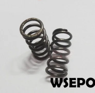 valve springs