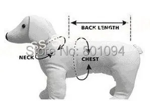 502410292_216.jpg