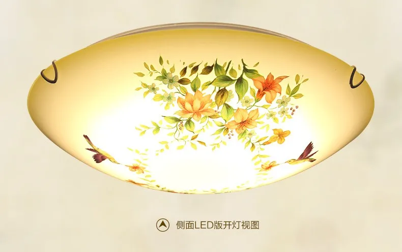 Китайский стиль художественная живопись круглый светодиодный потолочный светильник Креативный дизайнер цветок птицы ужин спальня светильники