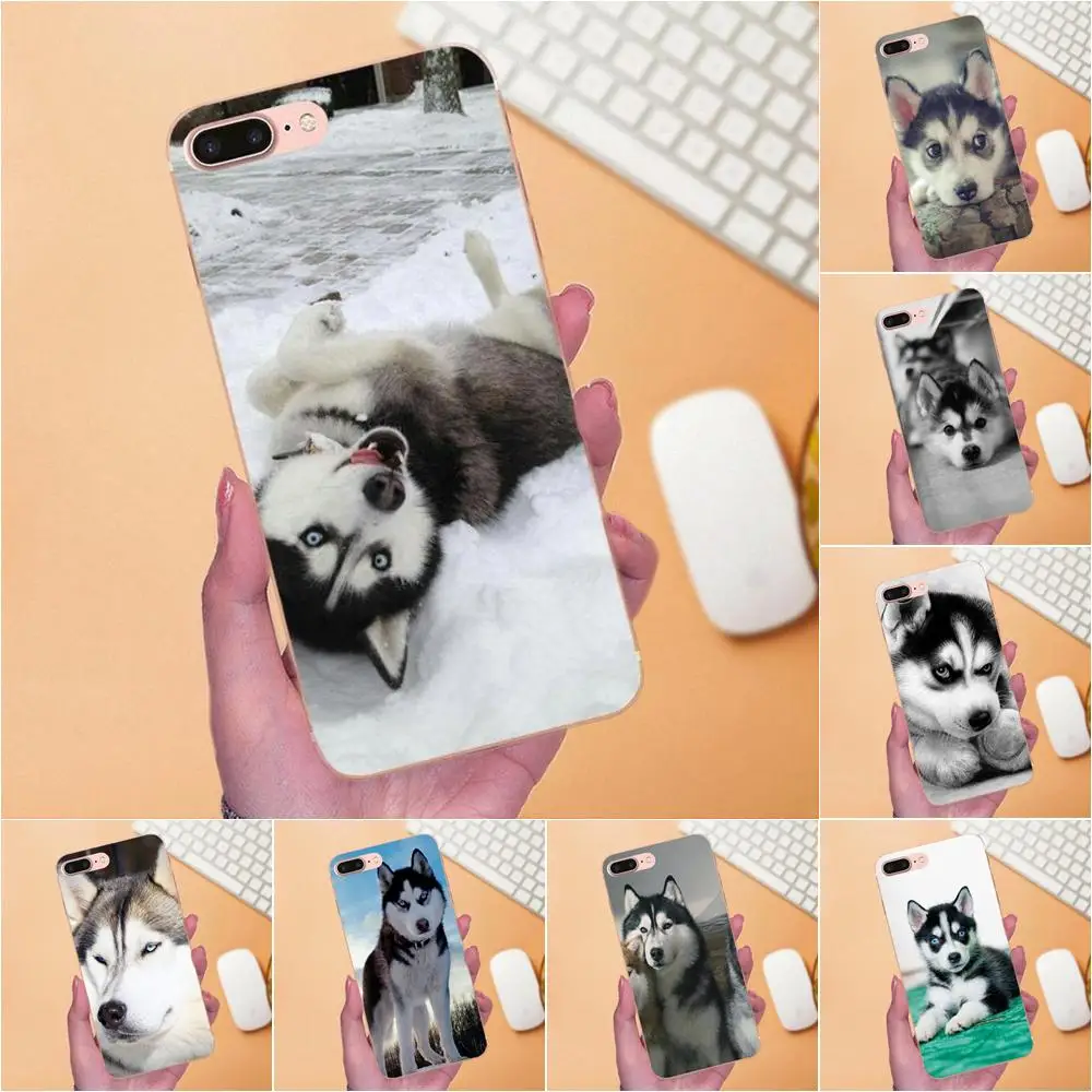 Husky Dog Diy Мягкий ТПУ дизайн индивидуальный для Galaxy Grand Alpha G850 Core2 Prime S2 I9082 A3 A5 A7 On5 On7 2015