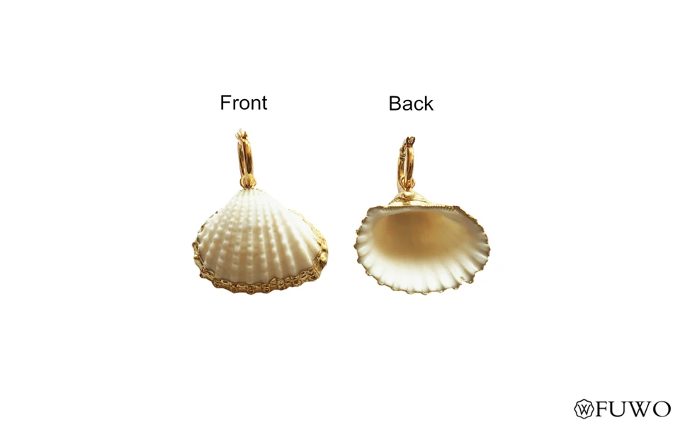 Scallop Shell Earrings 9