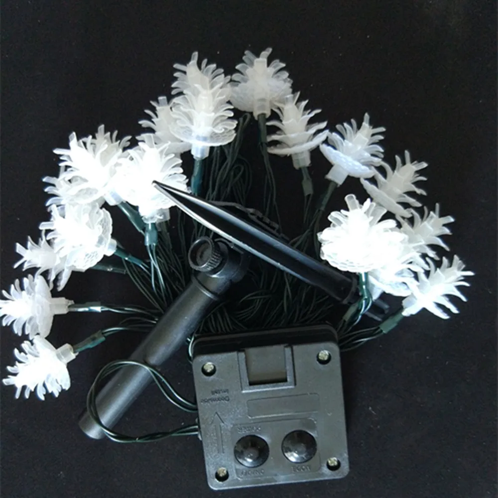 white pine corn lights solar