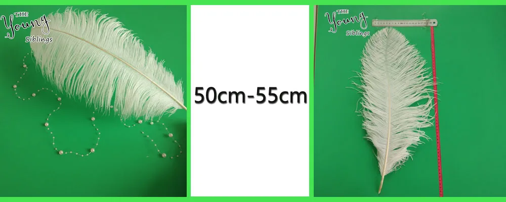 50-55cm-2