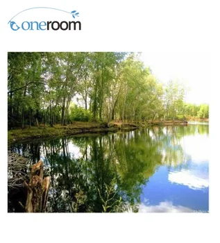 

oneroom Needlework Crafts 14CT unprinted embroidery Quality Counted Cross Stitch Kits Oil painting The Scenery of River home