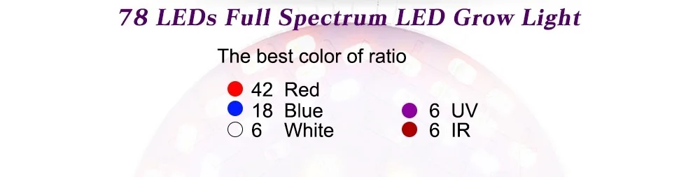 LEDs