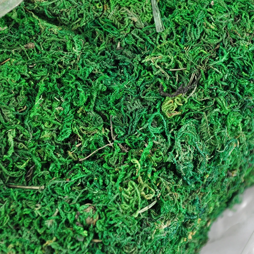 10g//bag Keep Fake Decorative Plants Dry Moss Vase Artificial Turf Garden Decor