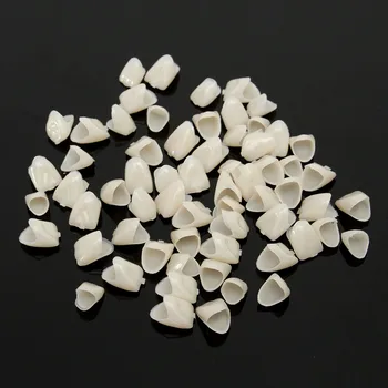 

2 Packs Dental Materials Mixed Temporary Crown Anteriors Front 65pcs+Molar 50pcs Posterior Nature Color Teeth Dentist Product