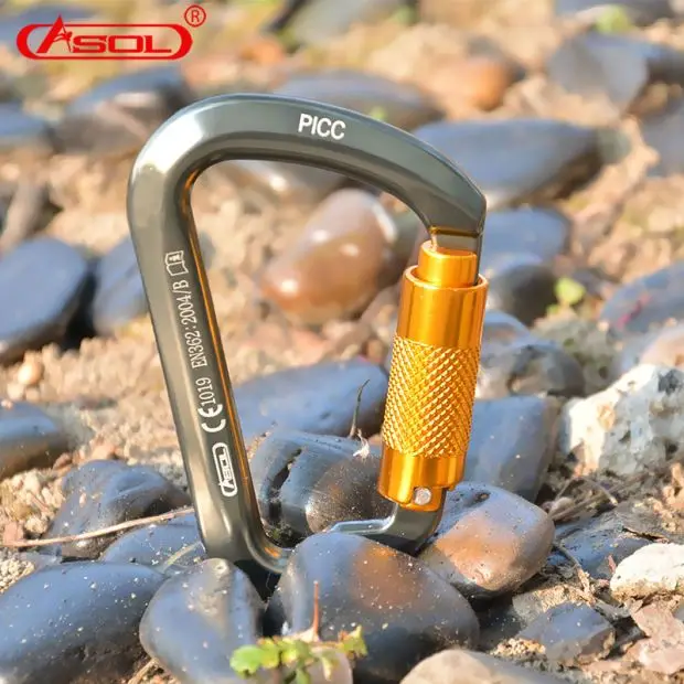 New Outdoor Rock Climbing Equipment D Type Screw Thread Carabiner
