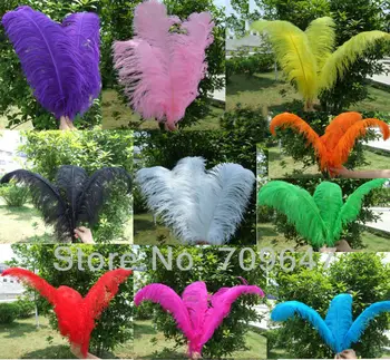 

Wholesale 100PCS/LOT Quality Natural OSTRICH FEATHERS 18-20inch/45-50CM Multicolor freeshipping