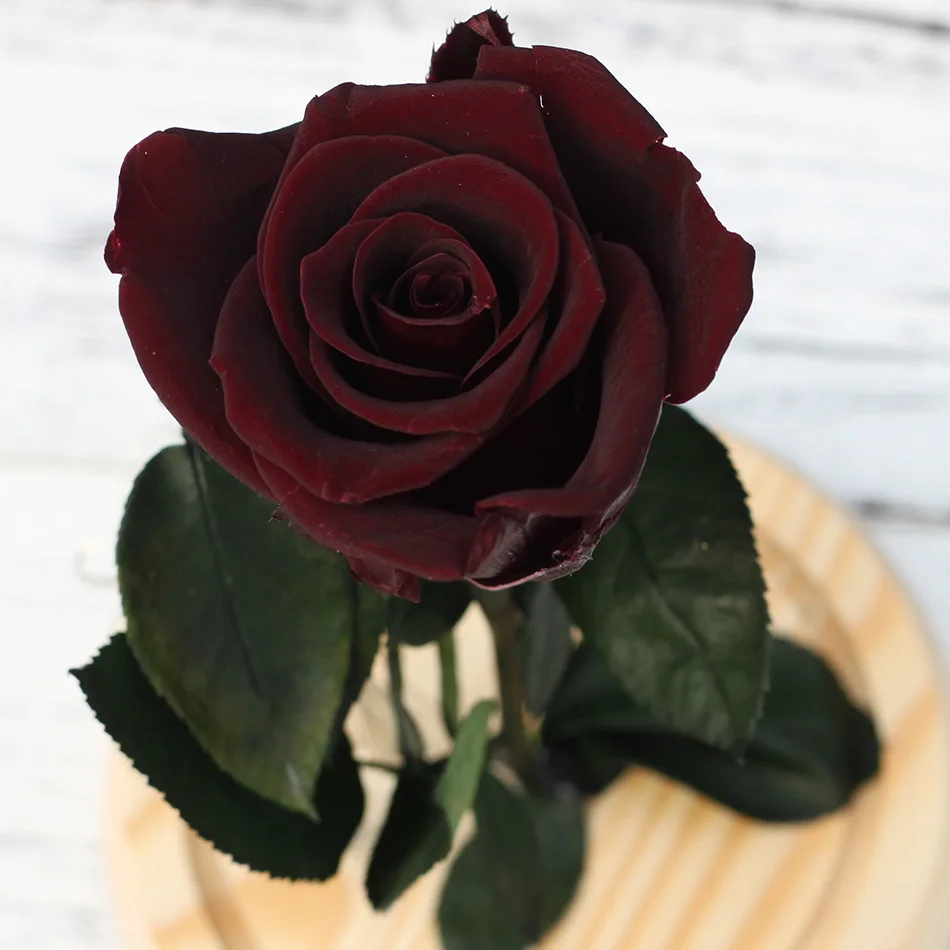 PreservedFreshFlower Красота и чудовище роза с куполом сохранились Роза Металлические Розы Зачарованный Роза ручной работы роза с светодиодный свет
