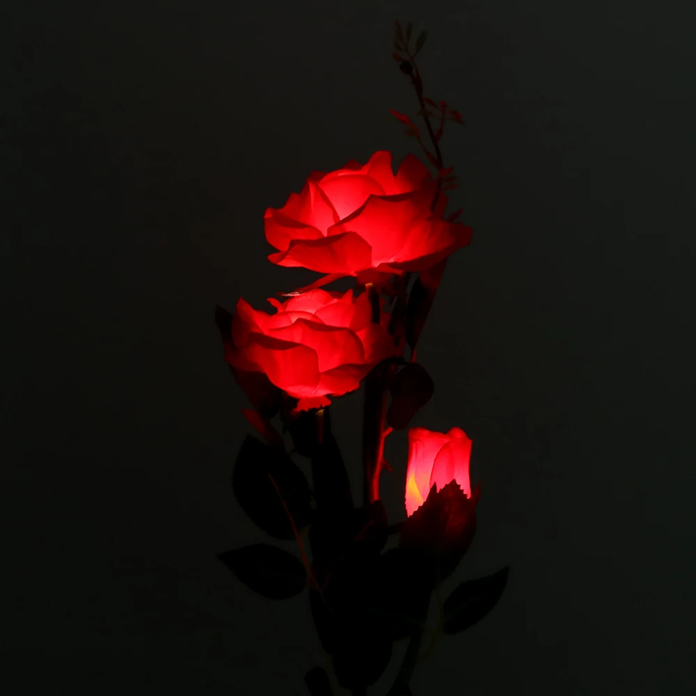 f177d7ed-0509-4fb9-b0b8-03053026f3e1