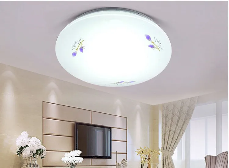 led ceiling lamp (11)
