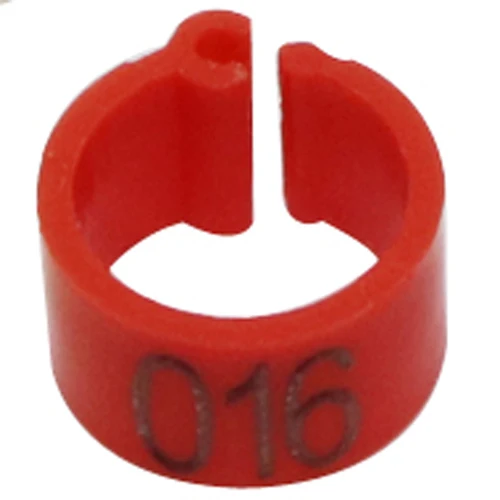 Image 12