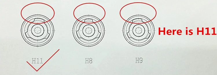 HTB1CqJSeVHM8KJjSZJiq6zx3FXac
