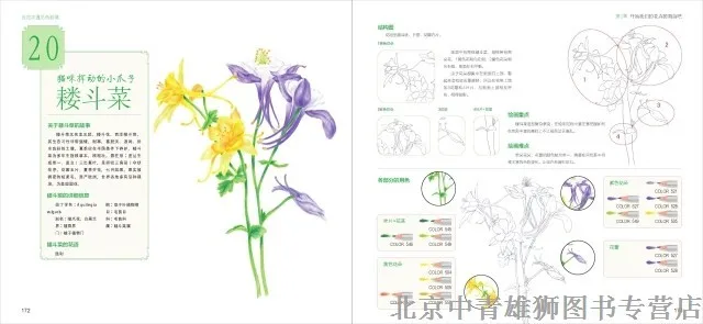 Когда цветы в случае цветные карандаши 100 видов леса цвет ручка карандашный рисунок живопись книга