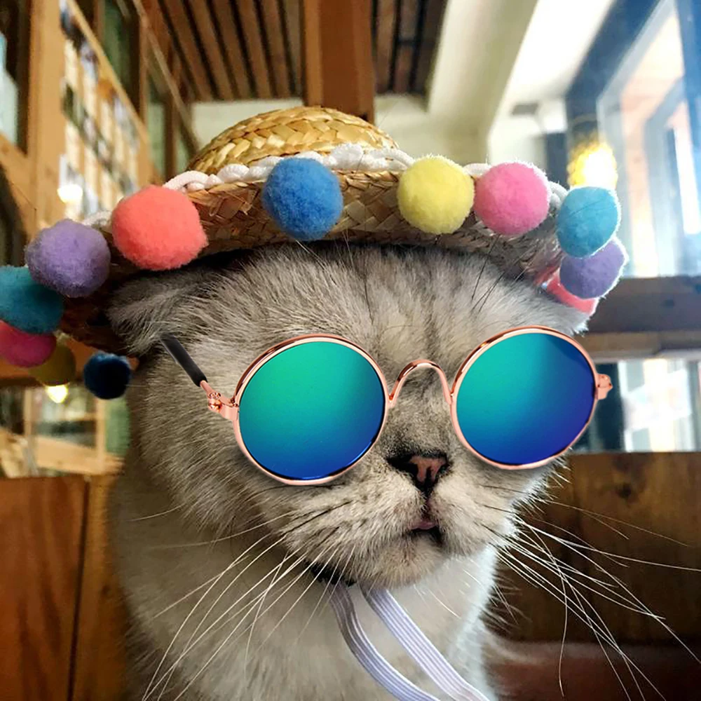 Gafas De Sol Para Gatos Y Perros Pequeños - Protección Ocular Divertida - Accesorios Para Mascotas