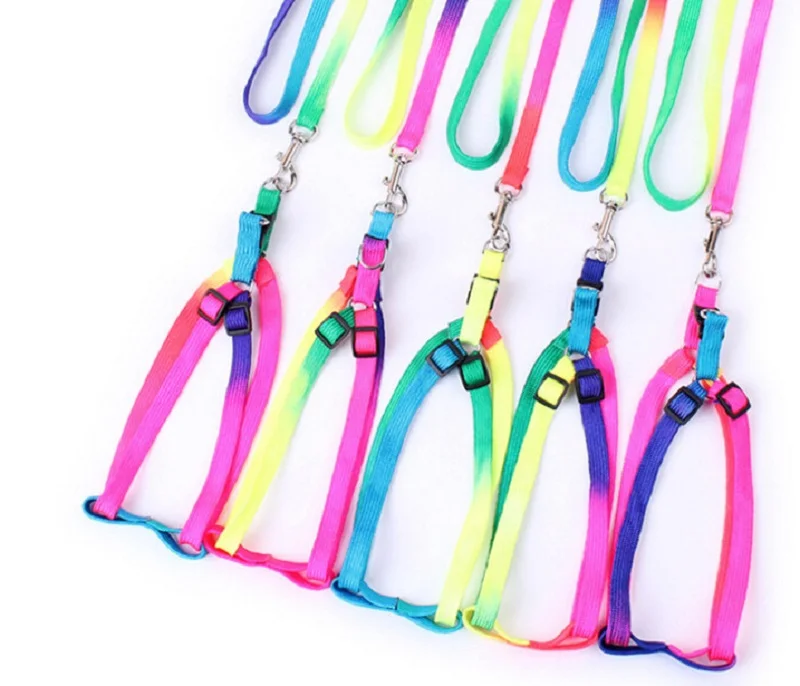 D71_Colorful_Nylon_Dog_Harness_with_leash_lead_Cheap_Rainbow_Small_Puppy_Dogs_Cats_Harness_Set_for_Yorkshire_Pet_Accessories_7