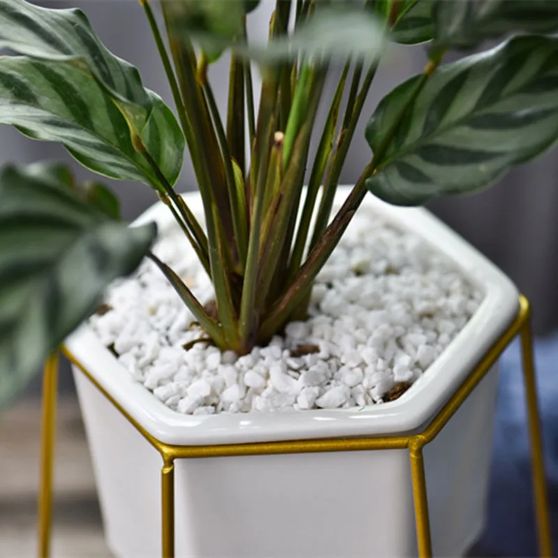 Desktop Ceramic Plant Flower Pots (6)
