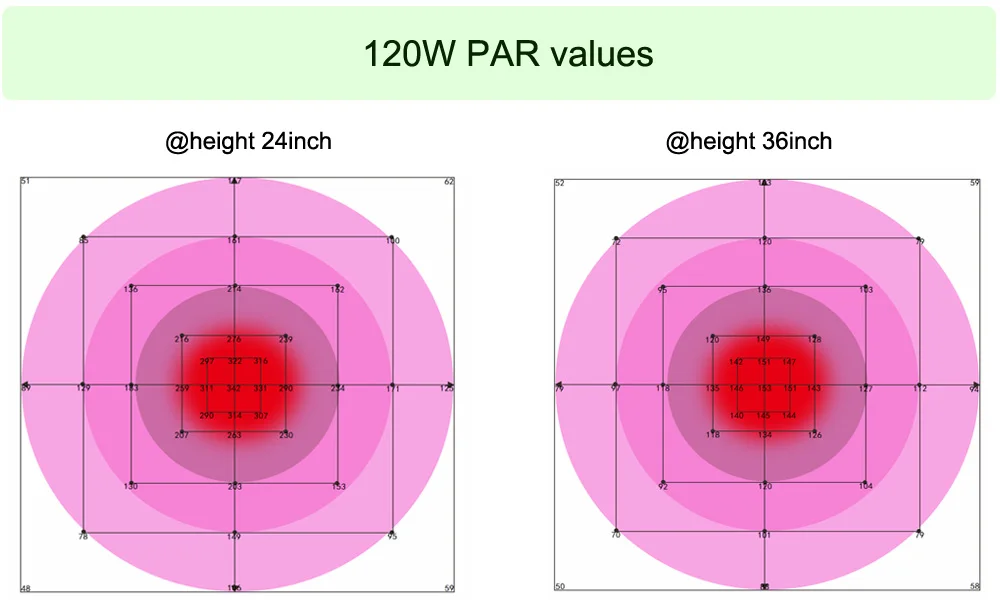 PAR1