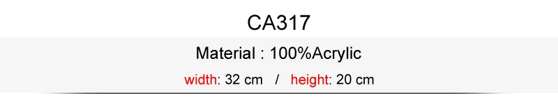 CS_CA317_