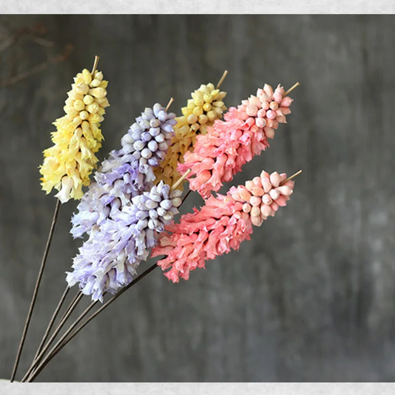One Piece Lupine Colorful Dried Flower Handmade Natural Plant