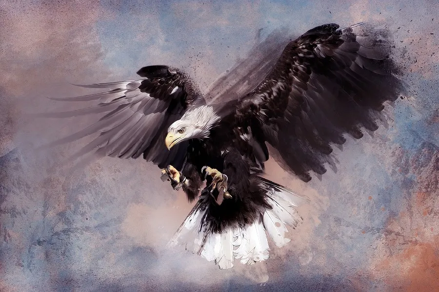Diy Frame Ferocious Eagle Animal Painting Style Artwork Poster Fabric Silk Posters And Prints For Home Decoration Silk Poster Posters And Printsposter Fabric Aliexpress