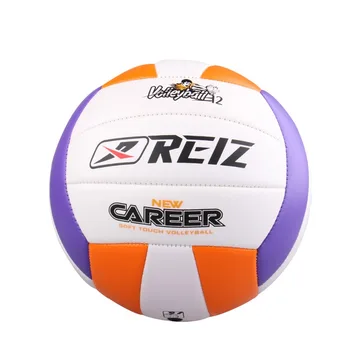 

Free Shipping Official Volleyball volley High Quality Match Volleyball Training ball With Net Bag V602A