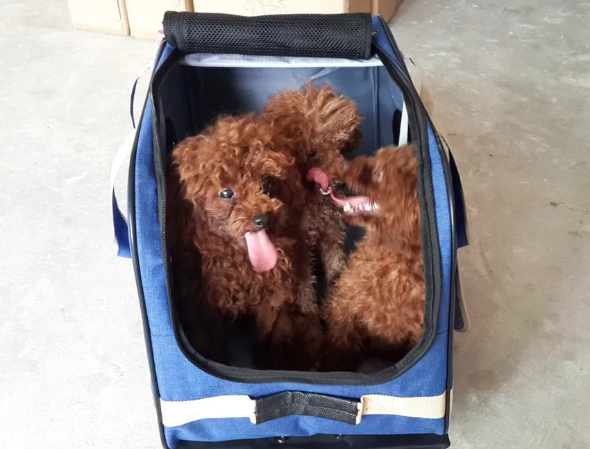 Сумки для переноски домашних животных сумка для собак тележка для Сумки Багаж для щенков переноска для домашних животных