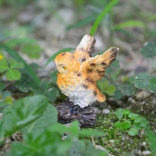 Мини Совы миниатюрный открытый декор для дворика Горшки Бонсай ручная работа для дома Фея Сад Микро Ландшафтный Смола Имитация