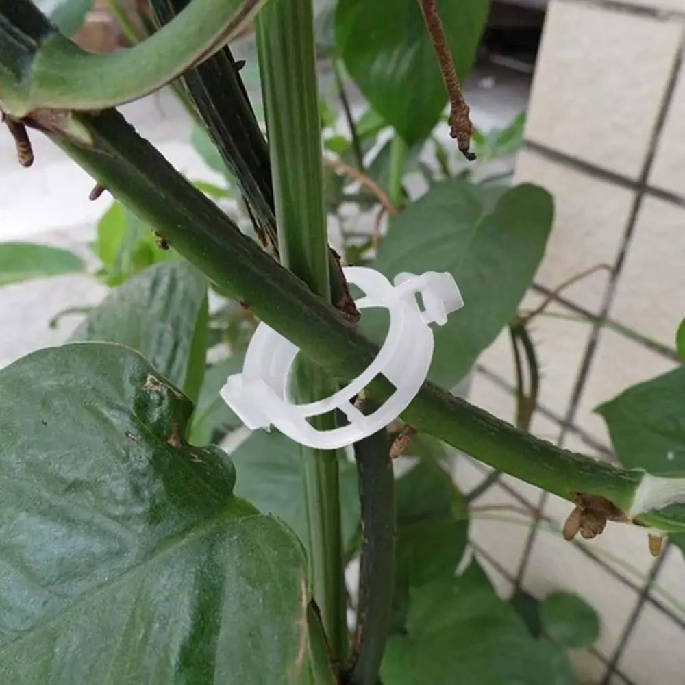 

Plant Clip Cantaloupe Clip Plastic Tied Vine Clip Tied Branch Clip Hanging Vine Clip Support Vine Clip Vine Fixed Clip