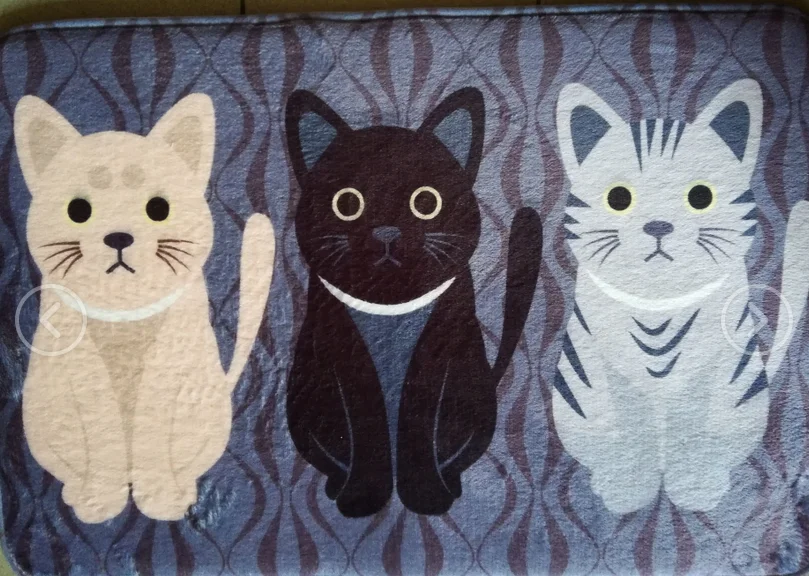 aeProduct.getSubject()