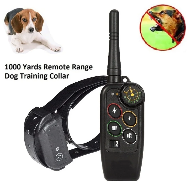dog training