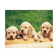 Красочные абстрактные три собаки обрамленная картина живопись и каллиграфия DIY живопись по номерам Раскраска по номерам