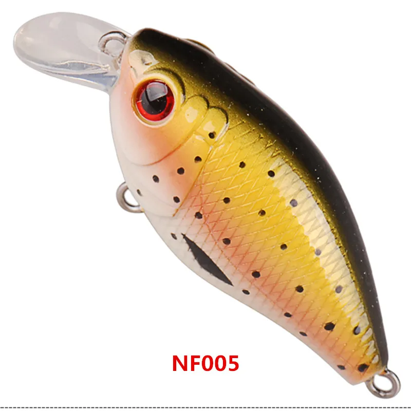 NF005_