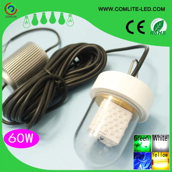 Factory price DC12V 24V 6Meters cable 60W LED fishing float lights