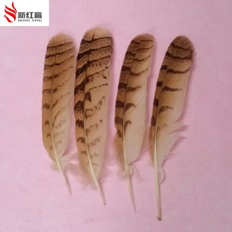 

Natural color 2016 eagle feathers a set of wholesale and retail plume