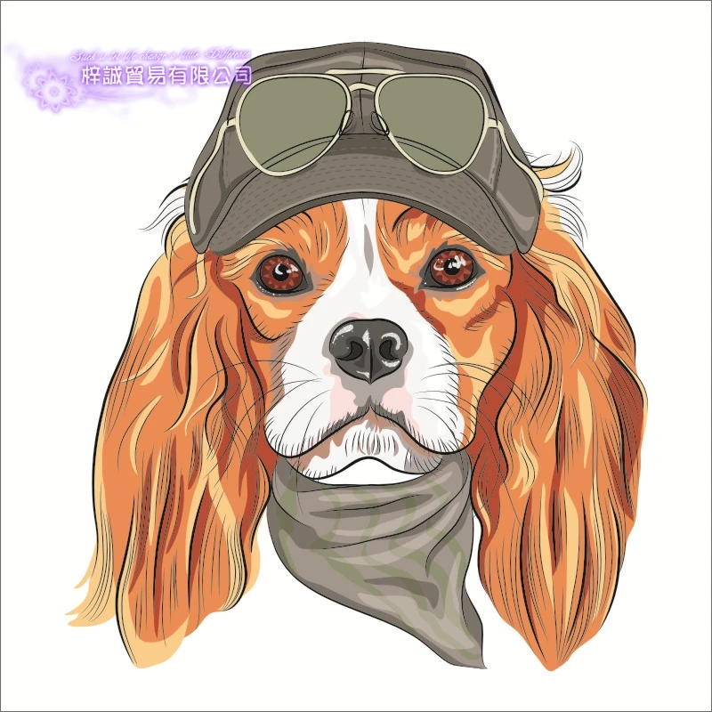 DCTAL Pet Shop стикер виниловая наклейка на стену парикмахерский салон для домашних