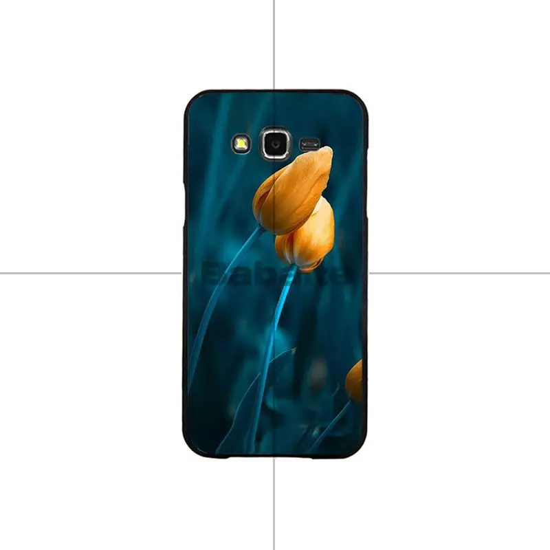 Flower Lotus Tulip