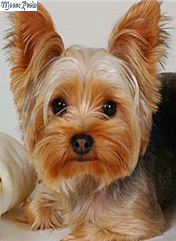 

MOONCRESIN 5D Diamond Look At The Dog Diamond Embroidery Needlework Diy Diamond Painting Cross Stitch Decoration Sticker Kits