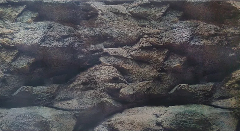 018 023 (5)