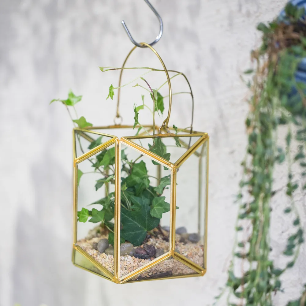 Hanging Brass Copper Gold Echelon Geometric Glass Display Terrarium