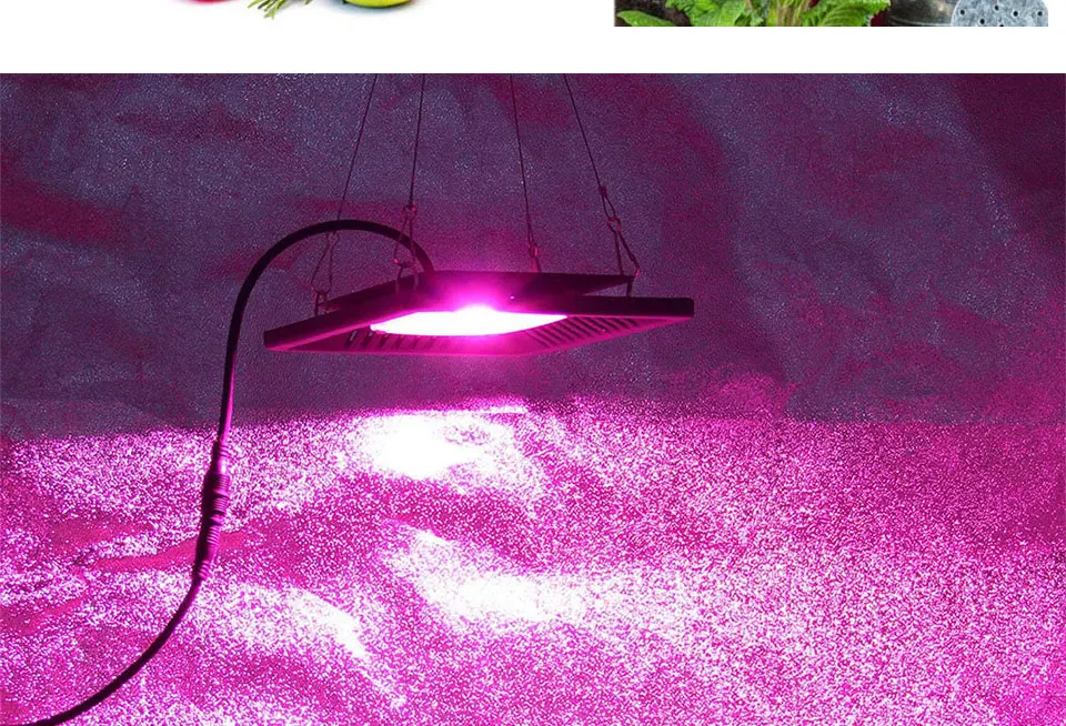 AC 110V 220V LED COB Lamp Chip 20W 30W 50W 100W 150W Full Spectrum LED Plant Grow Light Driverless Smart IC DIY LED Floodlights (20)