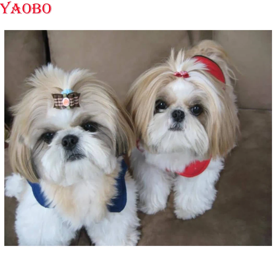 DIY алмазная живопись Shih Tzu собака милая 5D наборы для вышивки крестом