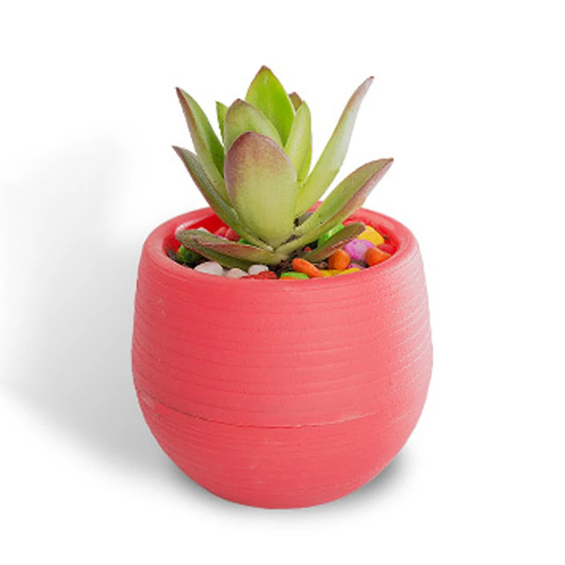 

Lovely Colorful Mini Flowerpot Unbreakable Plastic Nursery Pots Succulent Plants Desktop Home Office Decoration Garden Supplies